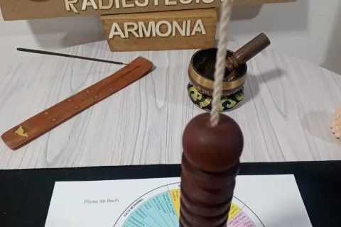 Flores de Bach utilizadas en el acompañamiento emocional